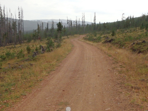 GDMBR: Nice downhill riding.